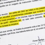 The director of the Civil Guard promoted the investigations to the UCO that designed the PSOE's sewer system