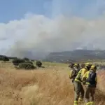Ayuso asks to declare a national emergency due to the "seriousness of the fires" and the Government Delegate questions the request: "They will have to justify it"