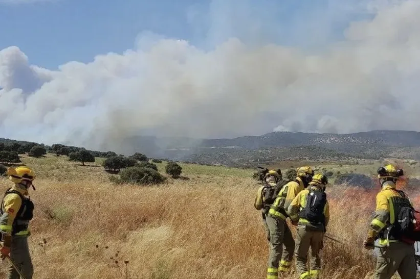 Ayuso asks to declare a national emergency due to the "seriousness of the fires" and the Government Delegate questions the request: "They will have to justify it"