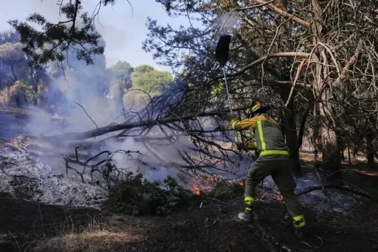 Incendios en España