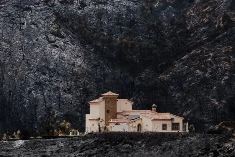 View of a burned area in Bédar, Almería.