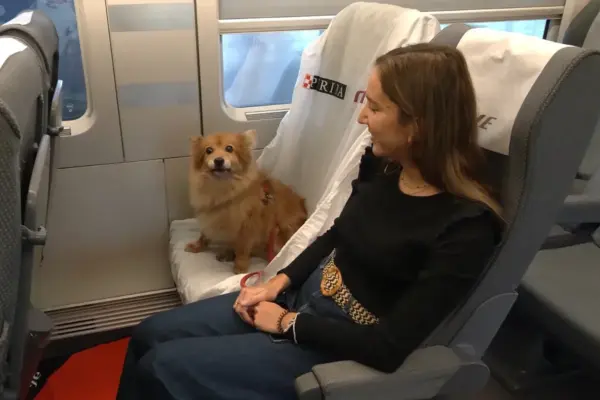Dogs will be able to occupy a seat on Renfe trains: 40 euros per journey and next to the window