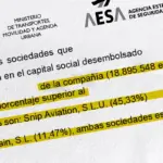 The Government rescued Plus Ultra with a falsified shareholder control structure