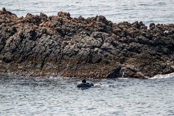 Hundreds of immigrants swim into Ceuta despite the deployment of drones, laser systems, and thermal cameras