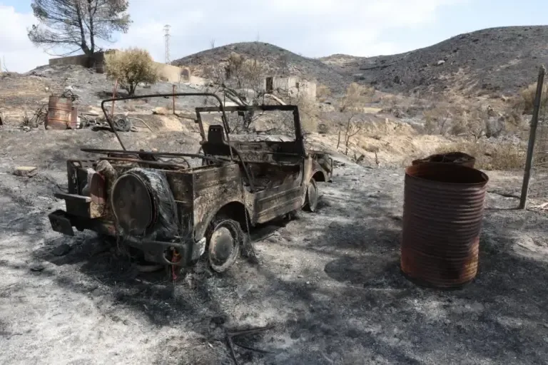 A vehicle completely burned in the Almocáizar district, in the municipality of Los Gallardos (Almería).