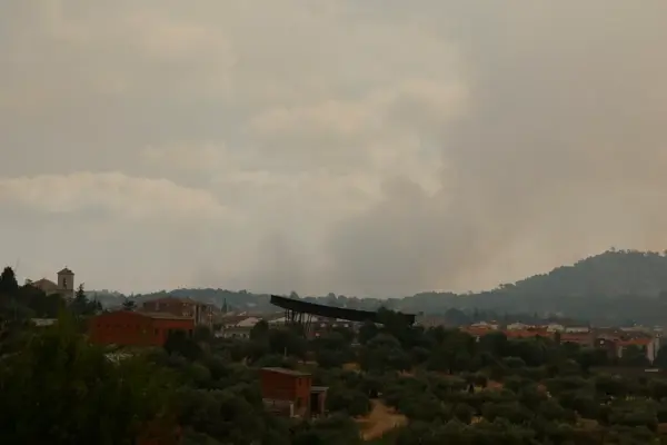Side effects of fires: smoke traveling hundreds of kilometers also harms the lungs and heart