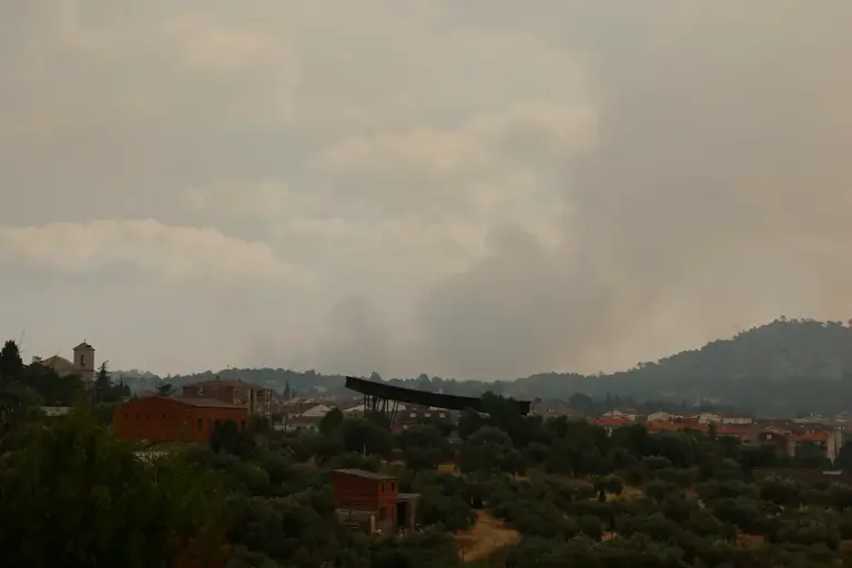 Side effects of fires: smoke traveling hundreds of kilometers also harms the lungs and heart