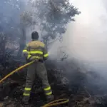 Fires in Madrid, Vall d'Uixó and the rest of Spain, latest news, live | Sánchez, on the fire in Madrid and Ávila: "The next 12 hours will be decisive"