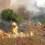 Unquenchable fires put Madrid in national emergency