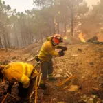 Fires in Madrid, Vall d'Uixó and the rest of Spain, last minute, live | Sánchez warns that "difficult hours remain" in the fight against fires