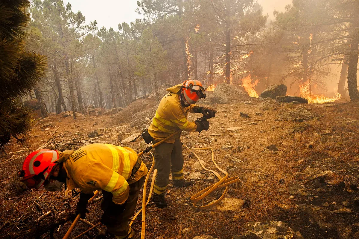 Fires in Madrid, Vall d'Uixó and the rest of Spain, last minute, live | Sánchez warns that "difficult hours remain" in the fight against fires
