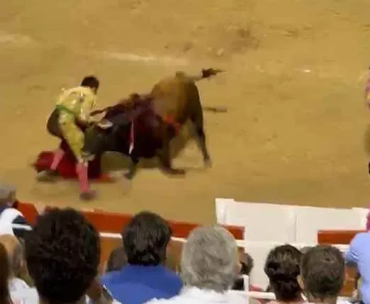 Morante de la Puebla, gored in the night event in Palma de Mallorca