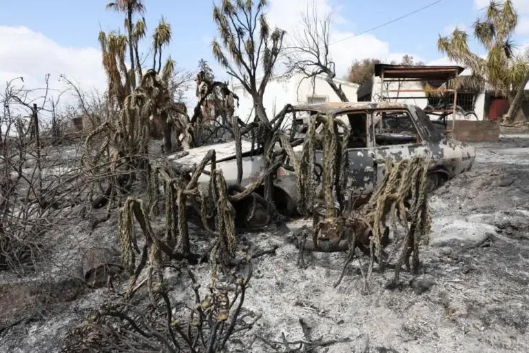 Fire in Los Gallardos (Almería)