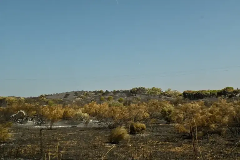 Tour of the villages devastated by fire: "I feel like I'm in a pandemic again, all desert, not a soul"