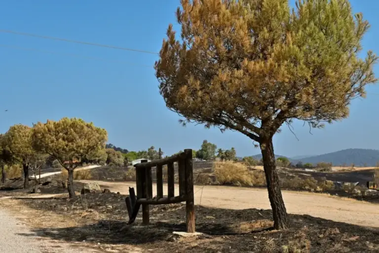 The entrance of the livestock farm that was at the edge of the flames