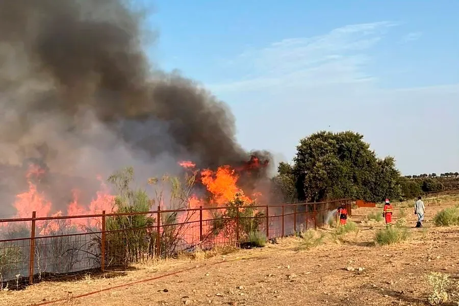 Fires in Madrid, Vall d'Uixó and the rest of Spain, latest news, live | "The area around the Cofio river, the most critical zone" in the Sierra de Madrid fire