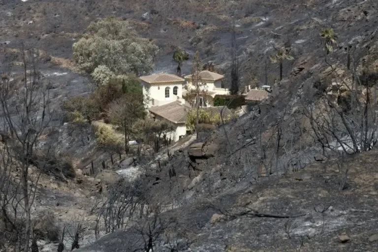 Fire in Almería, latest news from Los Gallardos, live | One of the injured in the Los Gallardos fire dies and the number of victims rises to 13