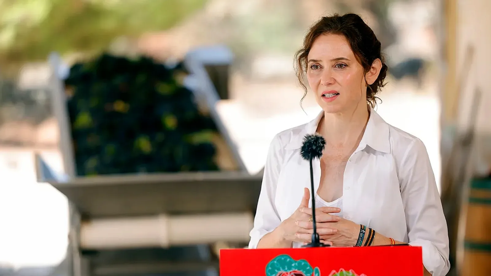 Ayuso emphasizes that she has "already said everything" about the penthouse and closes the matter: "It's for sale, bye fish"