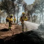 The Niebla fire returns Berrocal (Huelva) to the nightmare of 2004: "We are a dead town, like our land"
