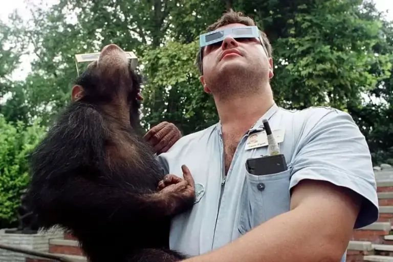 Observation of the August 11, 1999 eclipse from the Belgrade zoo