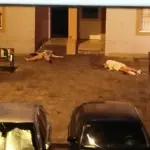 Three dead in a shooting in Isla Cristina, one of them a minor, in a settling of scores between drug traffickers