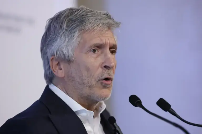 Interior Minister Fernando Grande-Marlaska