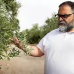 The customs 'loophole' sinks Spanish green gold: Tunisia sells 85% more oil to our country today than in 2016