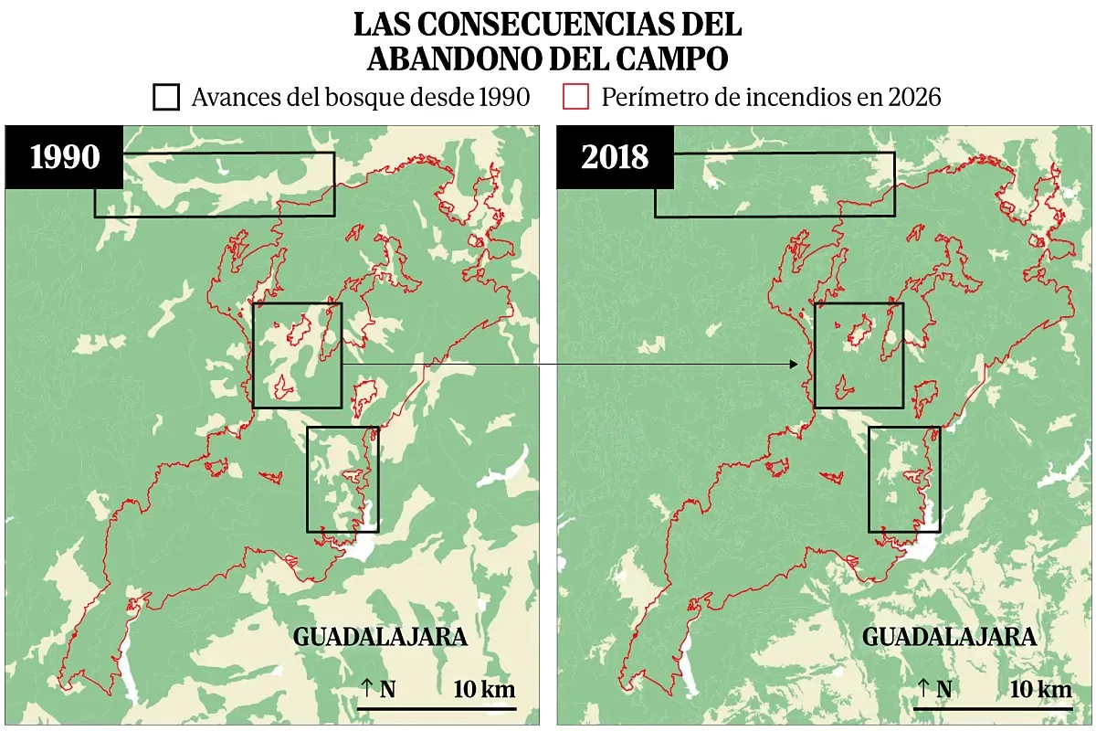 How has Spain become a powder keg? The cocktail that has fueled the devastating wildfires, in charts