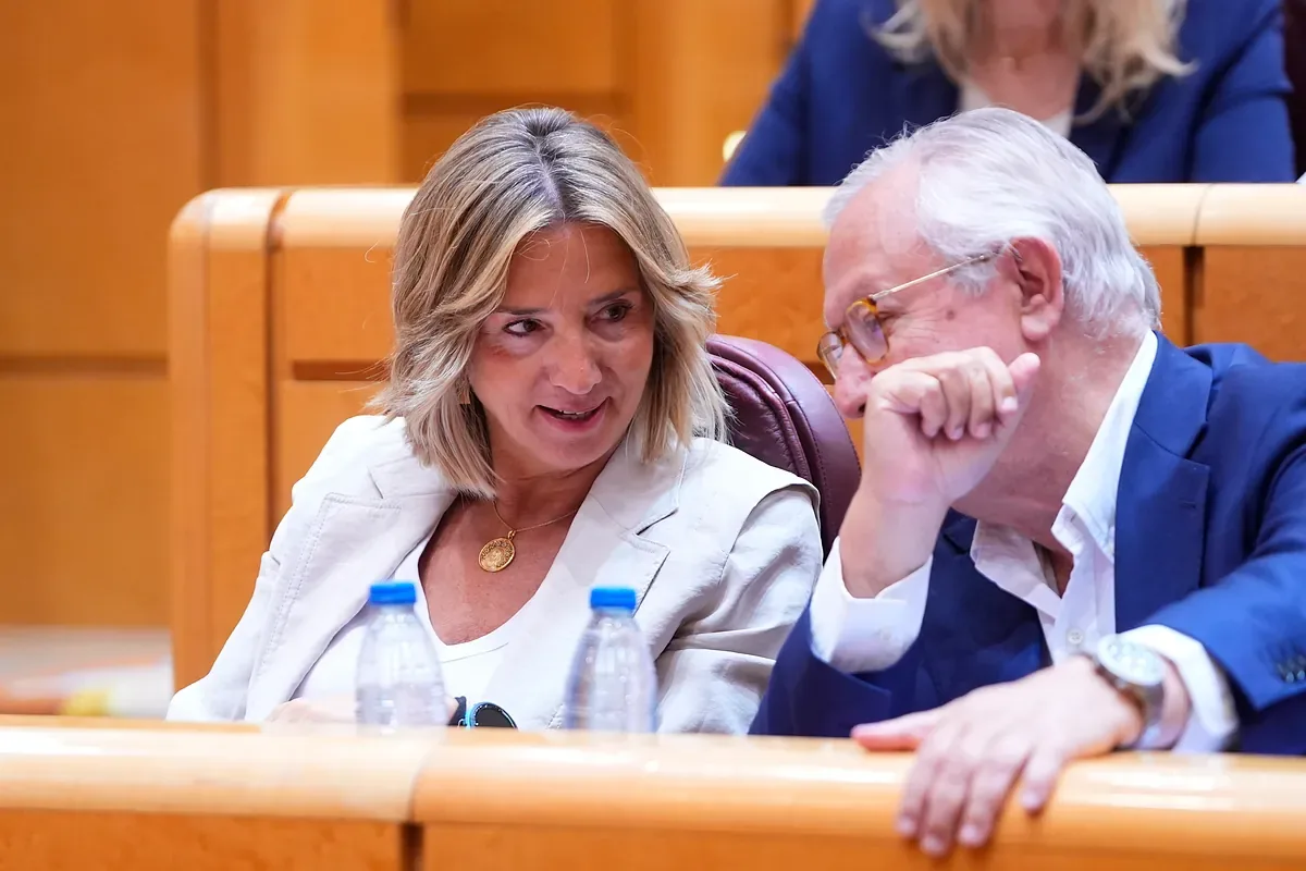 PP offensive on external voting and why registrations in the Community of Madrid have increased by more than 30% in 3 years