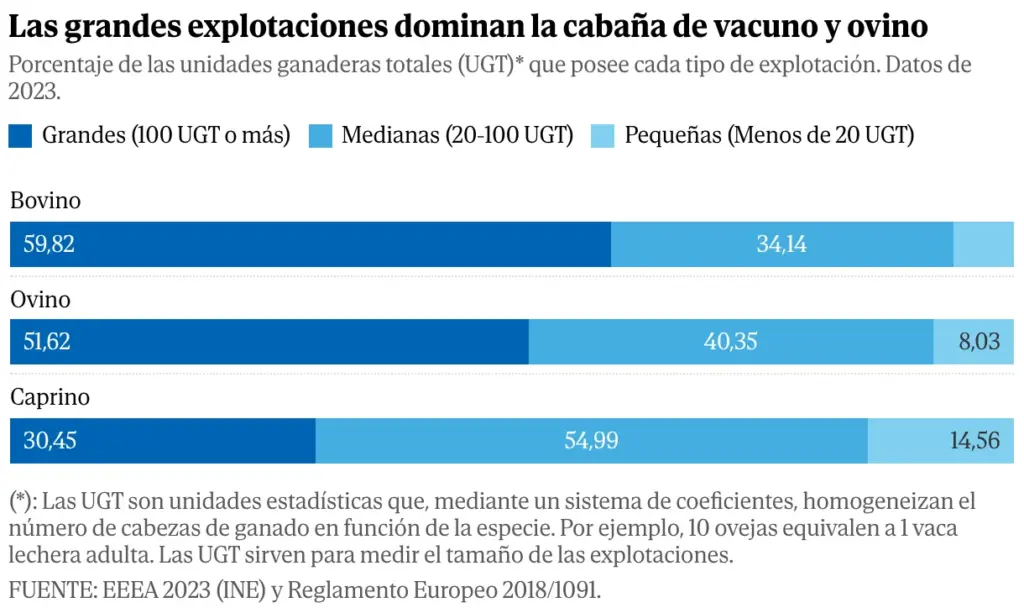 How has Spain become a powder keg? The cocktail that has fueled the devastating wildfires, in charts
