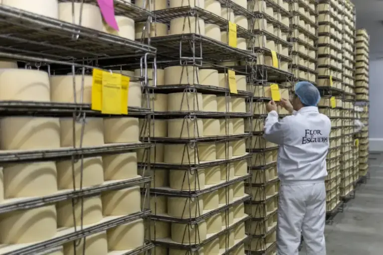 Lactalis Spain grows by 1.7% and exceeds 1,209 million euros of direct socioeconomic impact in 2025