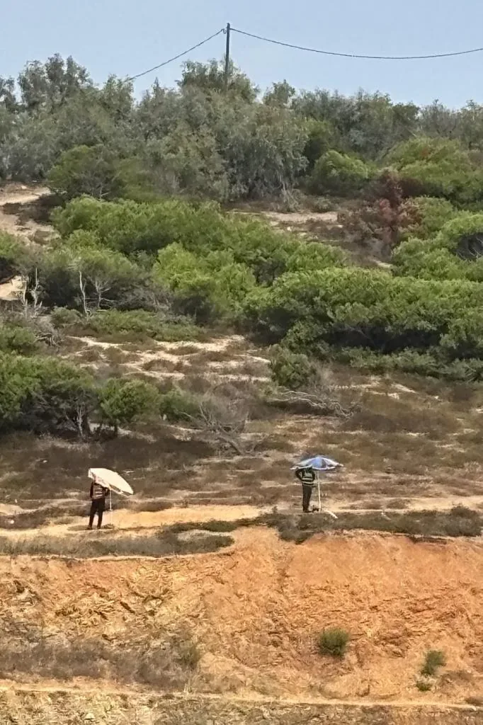 Moroccan agents under umbrellas deployed on the hills near Ceuta.
