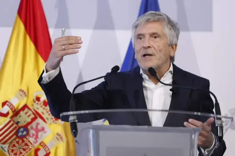 The Minister of the Interior, Fernando Grande-Marlaska.
