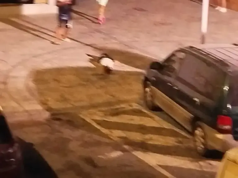 A third corpse, of a minor, lies on the ground in the town of Isla Cristina (Huelva).