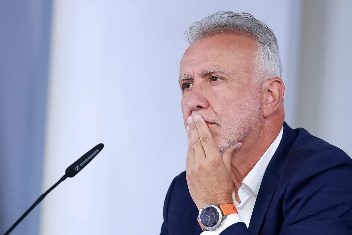 Torres distances himself from Robles and supports Marlaska: "There was no communication about the arrival of tens of thousands of people"