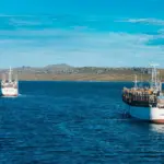 The threat that paralyzes the Spanish fleet in the Falklands: why has the great squid fishing ground disappeared?