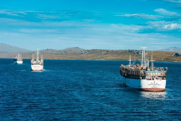 The threat that paralyzes the Spanish fleet in the Falklands: why has the great squid fishing ground disappeared?