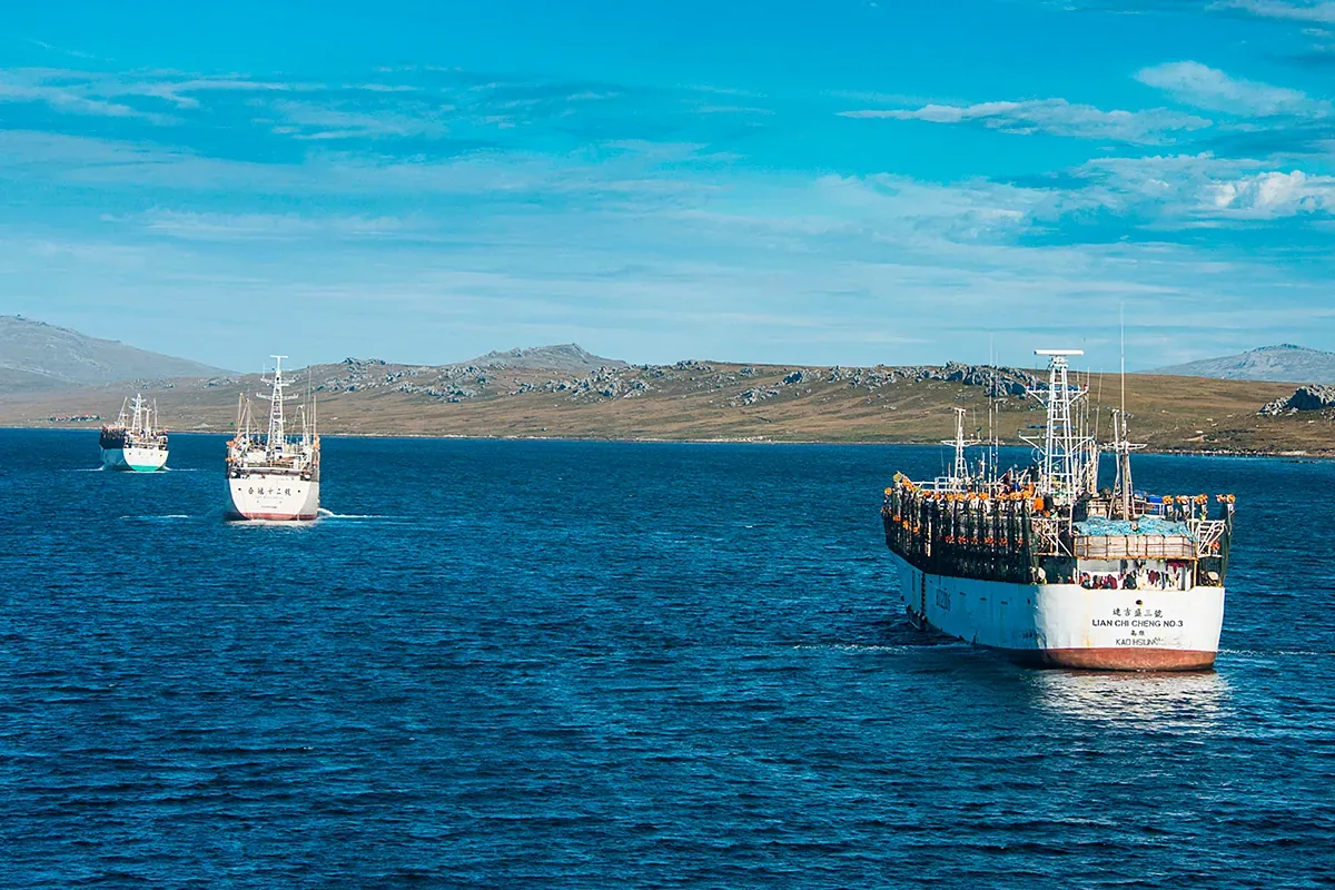 The threat that paralyzes the Spanish fleet in the Falklands: why has the great squid fishing ground disappeared?