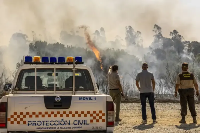 Fire near the Corumbel Bajo reservoir in La Palma del Condado, Huelva | EFE