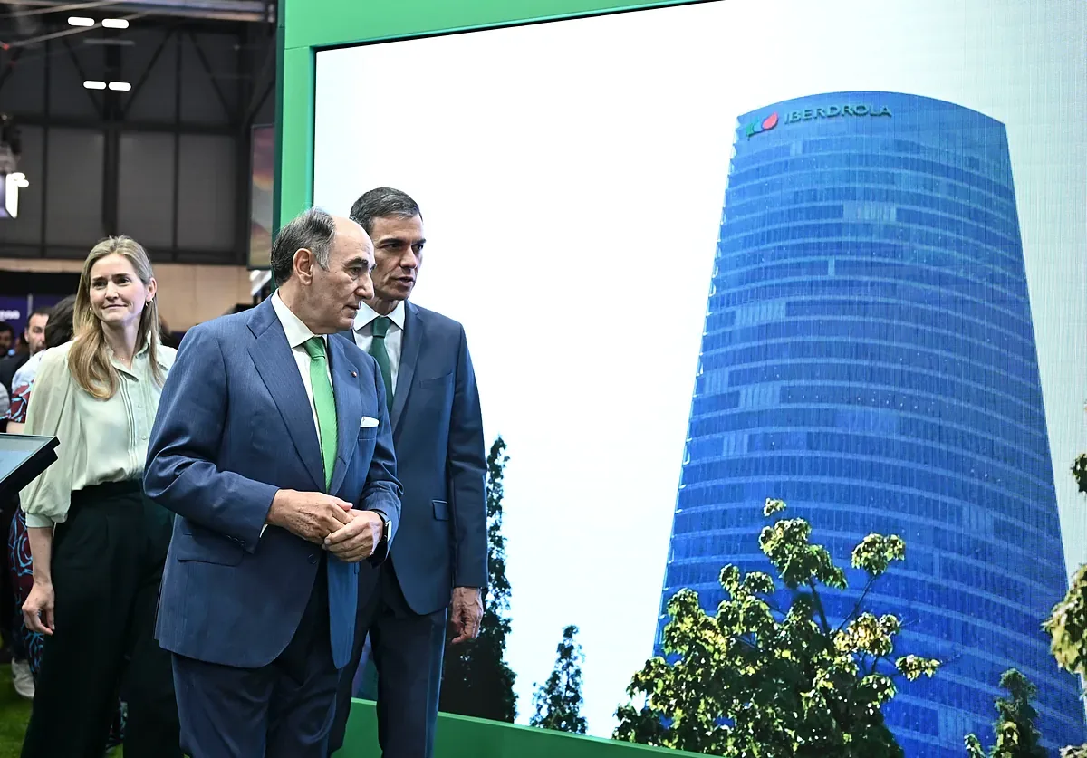 The Government blocks Iberdrola's mega solar plant in Toledo due to an imperial eagle's nest and complicates its million-dollar data center plan