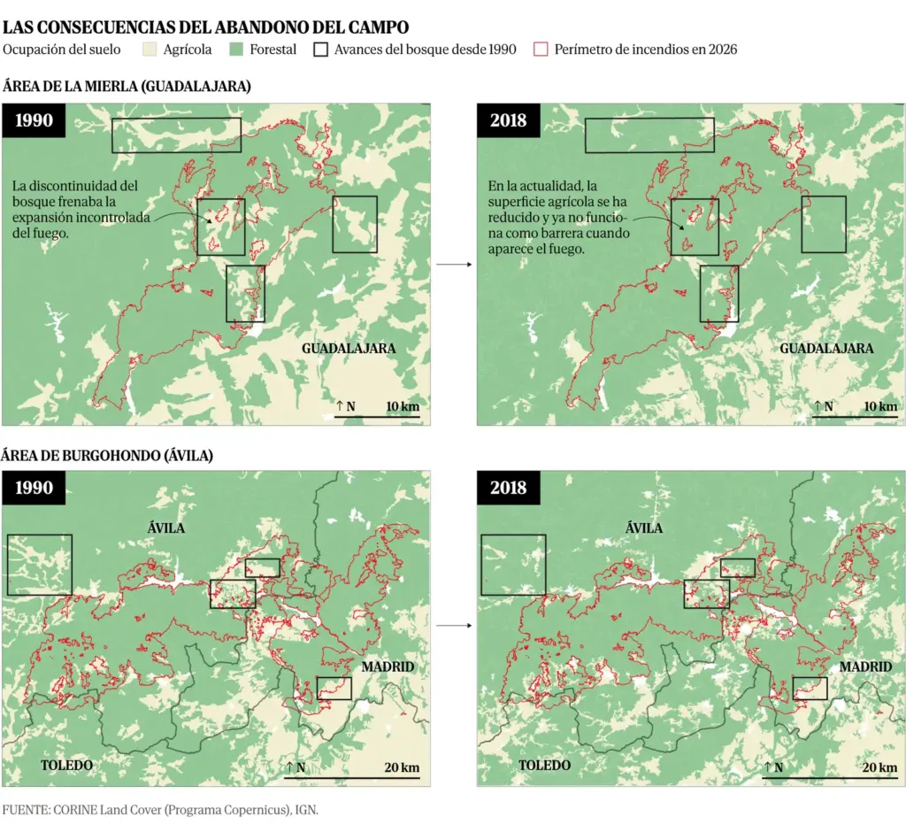 Chart: in the areas of the recent fires of La Mierla and Burgohondo it is observed that the forest area increased between 1990 and 2018 as a consequence of a decrease in land used for agriculture