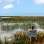 The Government threatens Doñana with the expropriation of its marshland