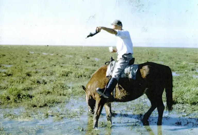 Valverde waters the marsh with Jerez wine in 1969.