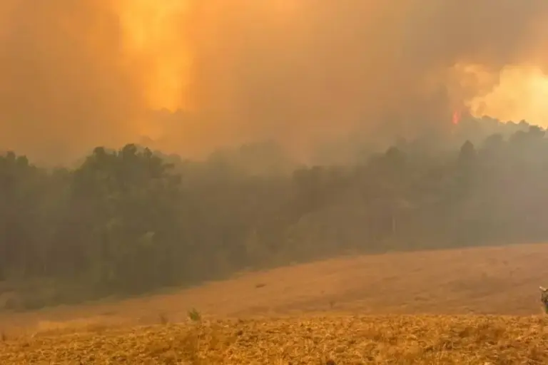 Panoramic view of the fire in an area near the Monastery of San Juan de la Peña
