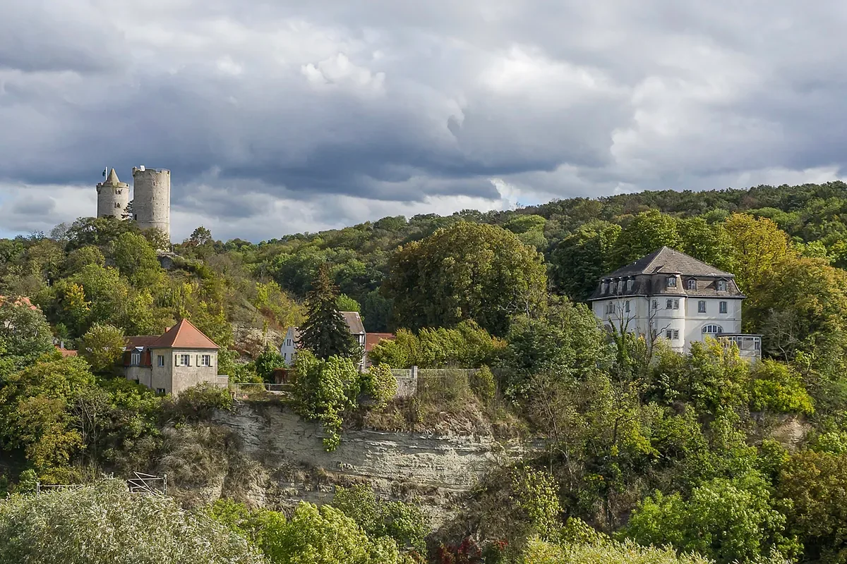 "Thinking German": The AfD battle in Saxony-Anhalt